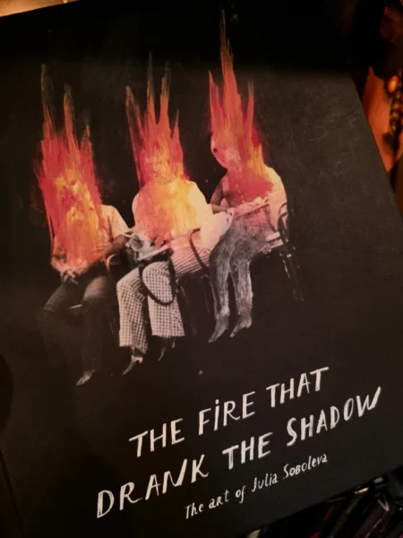 the fire that drank the shadow by Julia Soboleva
