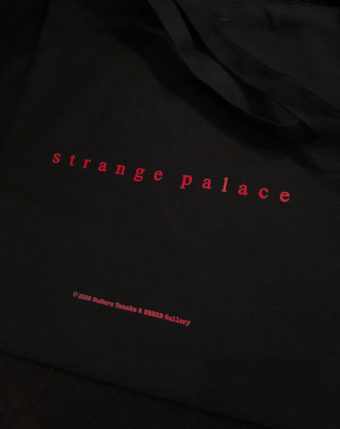 260418 bag 260418 bag