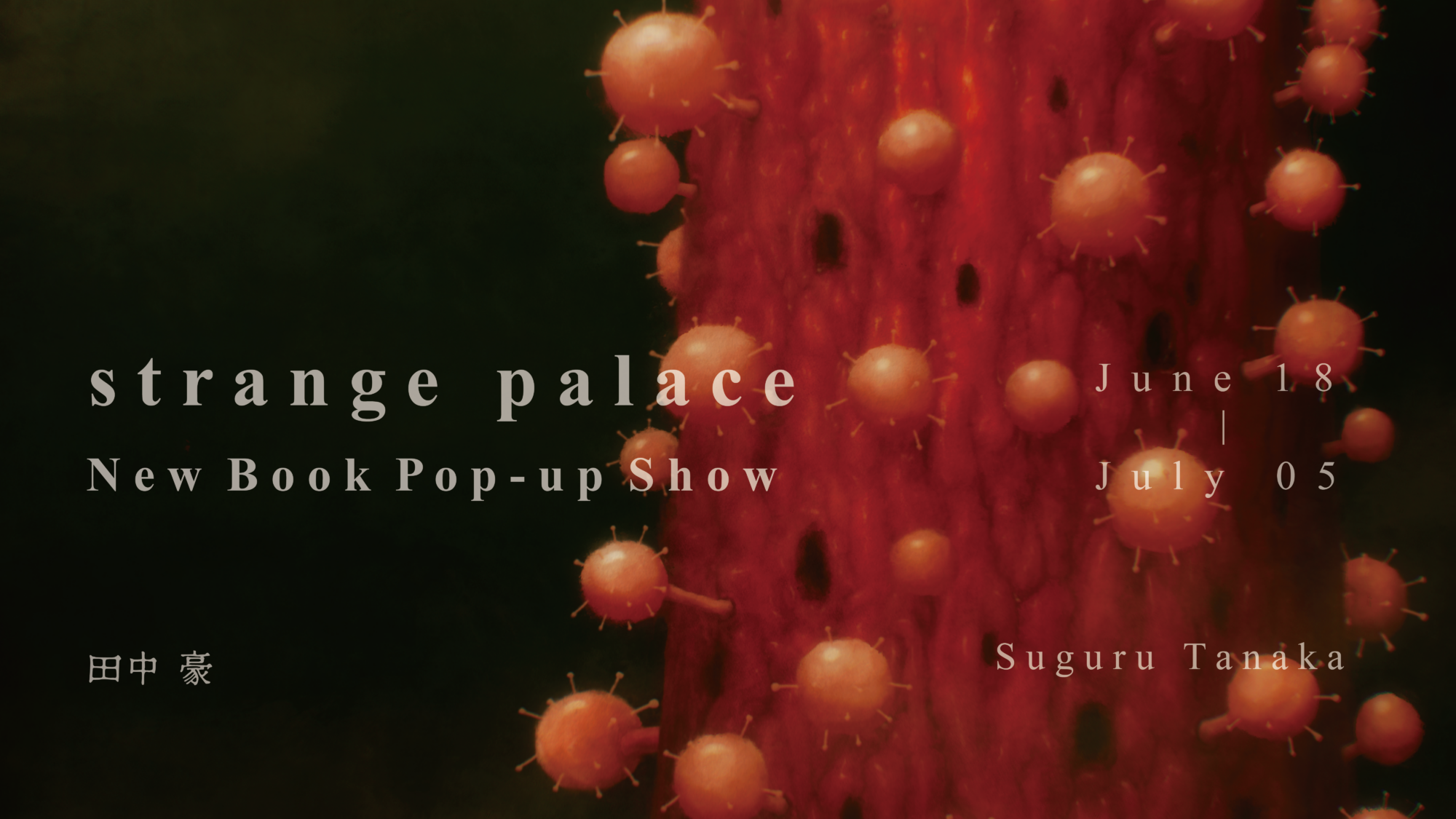 strange palace by suguru tanaka
